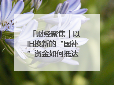 财经聚焦｜以旧换新的“国补”资金如何抵达消费者？