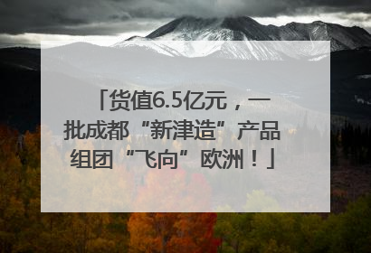 货值6.5亿元，一批成都“新津造”产品组团“飞向”欧洲！