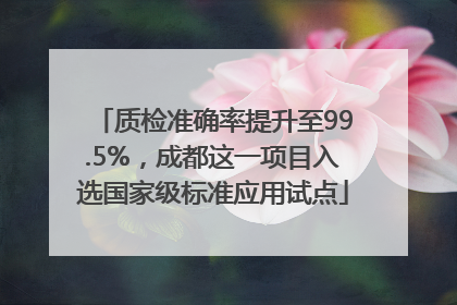 质检准确率提升至99.5%，成都这一项目入选国家级标准应用试点