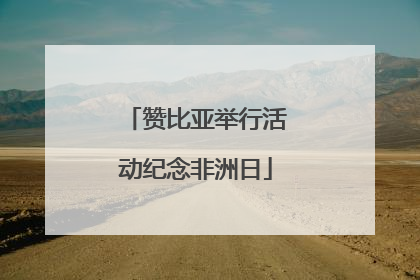 赞比亚举行活动纪念非洲日