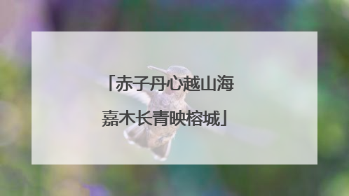赤子丹心越山海 嘉木长青映榕城