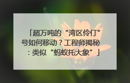 超万吨的“湾区伶仃”号如何移动？工程师揭秘：类似“蚂蚁托大象”