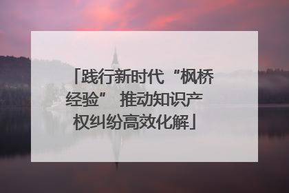 践行新时代“枫桥经验” 推动知识产权纠纷高效化解