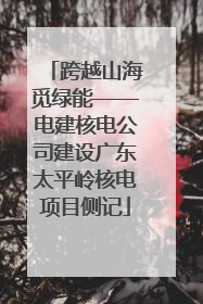 跨越山海觅绿能——电建核电公司建设广东太平岭核电项目侧记
