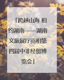 跨越山海 相约湖南——湖南文旅展厅亮相第四届中非经贸博览会