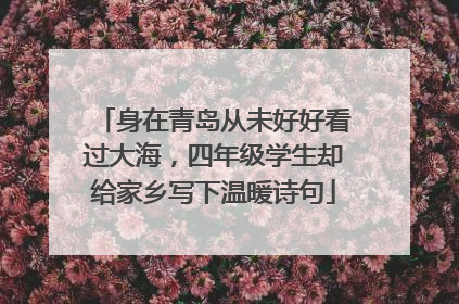 身在青岛从未好好看过大海，四年级学生却给家乡写下温暖诗句