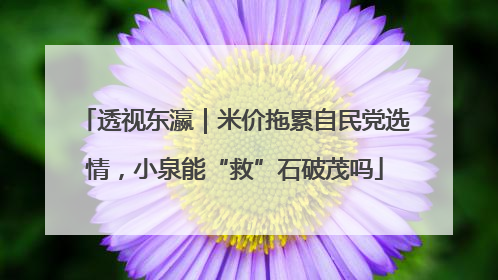 透视东瀛｜米价拖累自民党选情，小泉能“救”石破茂吗