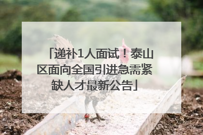 递补1人面试！泰山区面向全国引进急需紧缺人才最新公告