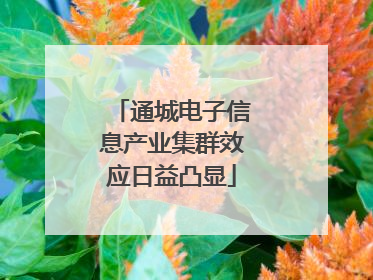 通城电子信息产业集群效应日益凸显