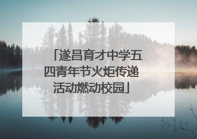 遂昌育才中学五四青年节火炬传递活动燃动校园