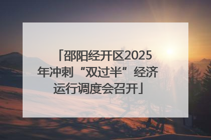 邵阳经开区2025年冲刺“双过半”经济运行调度会召开