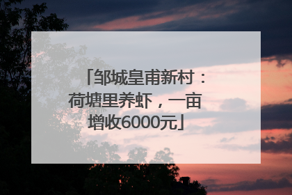 邹城皇甫新村：荷塘里养虾，一亩增收6000元
