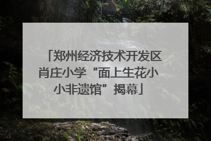 郑州经济技术开发区肖庄小学“面上生花小小非遗馆”揭幕