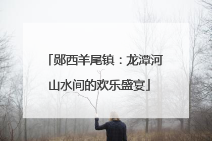 郧西羊尾镇：龙潭河山水间的欢乐盛宴