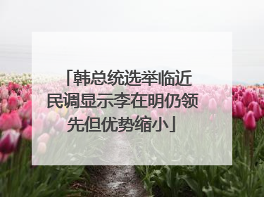 韩总统选举临近 民调显示李在明仍领先但优势缩小