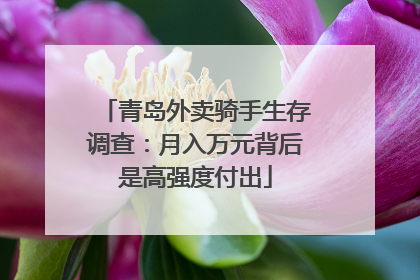 青岛外卖骑手生存调查：月入万元背后是高强度付出