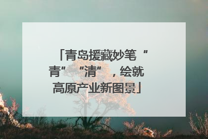 青岛援藏妙笔“青”“清”，绘就高原产业新图景