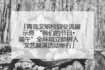 青岛文明校园交流展示暨 “我们的节日•端午”全环境立德树人文艺展演活动举行