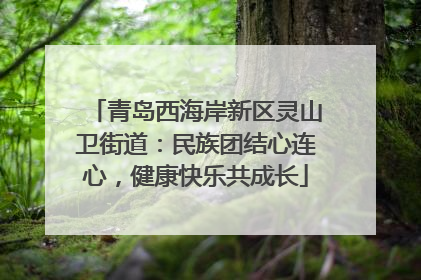 青岛西海岸新区灵山卫街道：民族团结心连心，健康快乐共成长