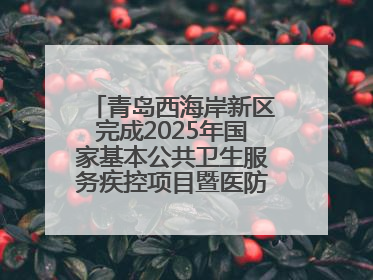青岛西海岸新区完成2025年国家基本公共卫生服务疾控项目暨医防融合督导工作