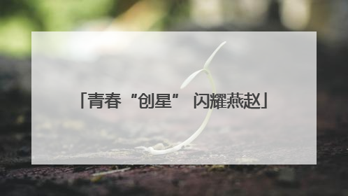 青春“创星” 闪耀燕赵