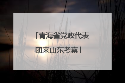 青海省党政代表团来山东考察