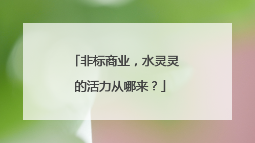 非标商业，水灵灵的活力从哪来？