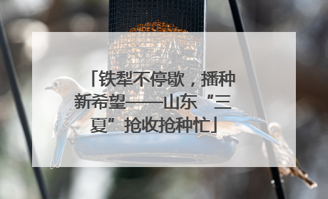 铁犁不停歇，播种新希望——山东“三夏”抢收抢种忙