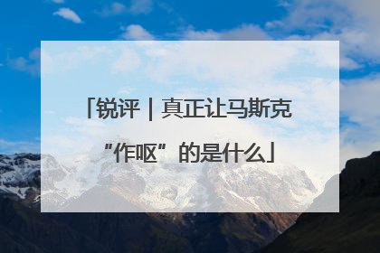锐评｜真正让马斯克“作呕”的是什么