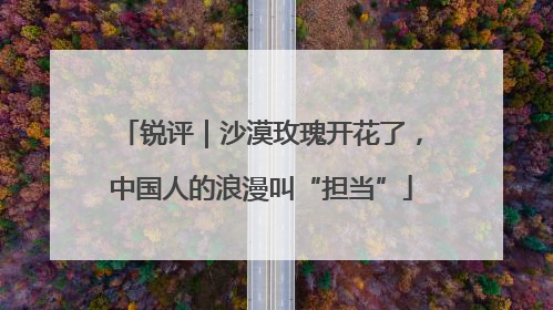 锐评｜沙漠玫瑰开花了，中国人的浪漫叫“担当”