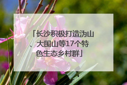 长沙积极打造沩山、大围山等17个特色生态乡村群