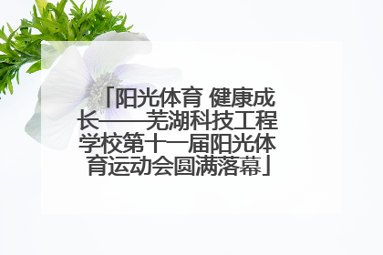 阳光体育 健康成长——芜湖科技工程学校第十一届阳光体育运动会圆满落幕