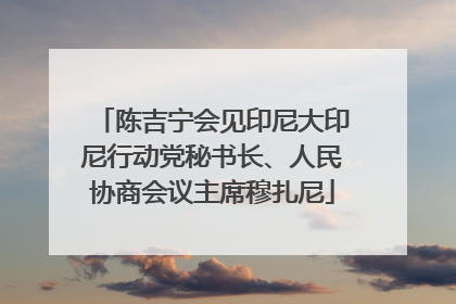陈吉宁会见印尼大印尼行动党秘书长、人民协商会议主席穆扎尼