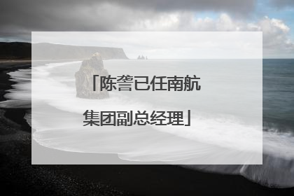 陈詟已任南航集团副总经理