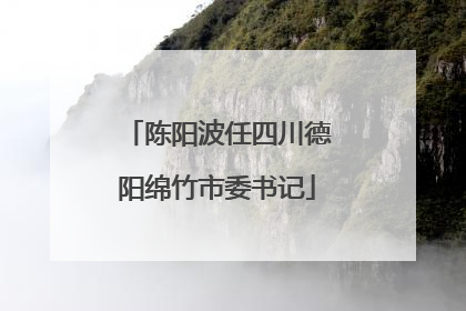 陈阳波任四川德阳绵竹市委书记