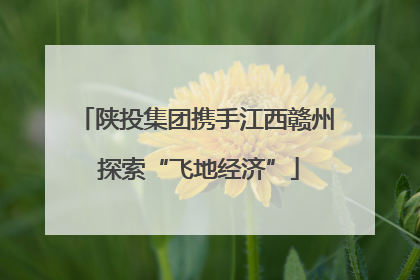 陕投集团携手江西赣州 探索“飞地经济”