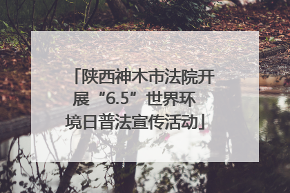 陕西神木市法院开展“6.5”世界环境日普法宣传活动