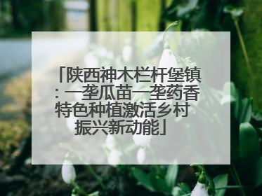 陕西神木栏杆堡镇：一垄瓜苗一垄药香 特色种植激活乡村振兴新动能