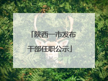陕西一市发布干部任职公示