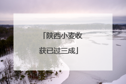陕西小麦收获已过三成