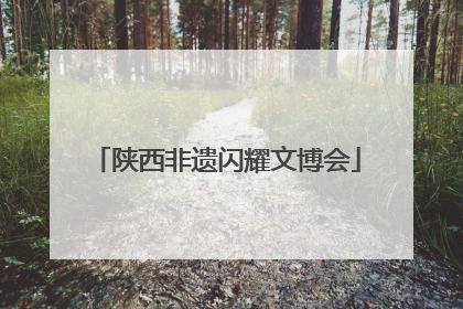 陕西非遗闪耀文博会
