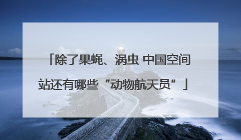除了果蝇、涡虫 中国空间站还有哪些“动物航天员”