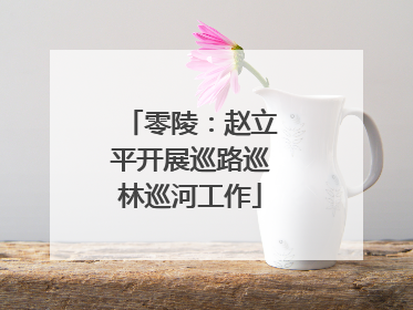 零陵：赵立平开展巡路巡林巡河工作