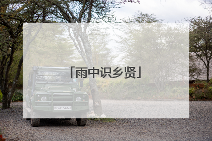 雨中识乡贤