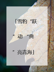 雪豹“跃”动 “典”亮青海
