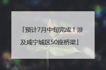 预计7月中旬完成！涉及咸宁城区50座桥梁