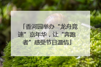 香河园举办“龙舟竞速”嘉年华，让“奔跑者”感受节日温情