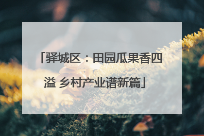 驿城区：田园瓜果香四溢 乡村产业谱新篇