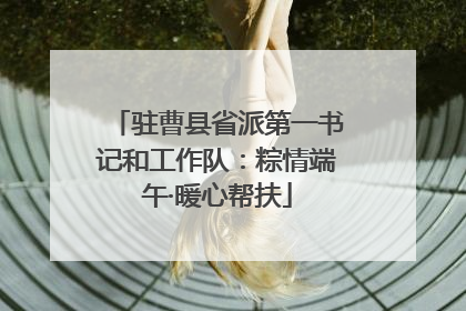 驻曹县省派第一书记和工作队：粽情端午·暖心帮扶