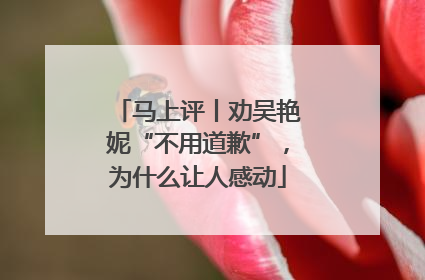 马上评丨劝吴艳妮“不用道歉”，为什么让人感动